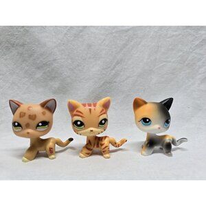 Bobble Head Pets-Leopard Short Hair Cat, Calico, Tabby Cat-